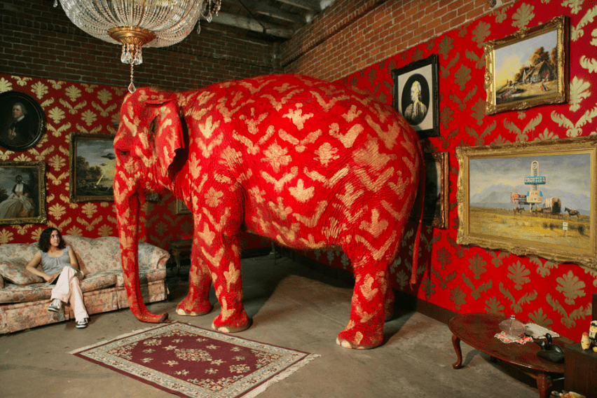 Elephant in the room